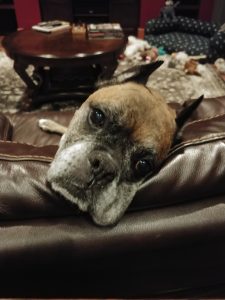 Waiting for me on the couch