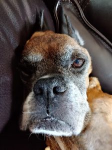 Buster's last day