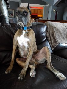 Watching TV