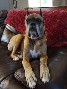 King of the couch