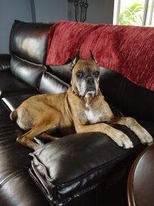 Always in my spot