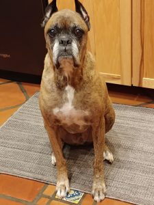 Waiting for a cookie